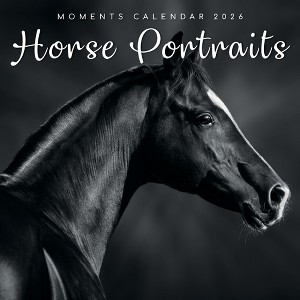 2026 Square Wall Calendar, Horse Portraits, 16-Month Black and White Photos Theme with 180 Reminder Stickers (12x12 In) - 1 of 4