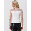 Allegra K Women's Lace Round Neck Heart Dots Sheer Long Mesh Sleeve Top - 4 of 4