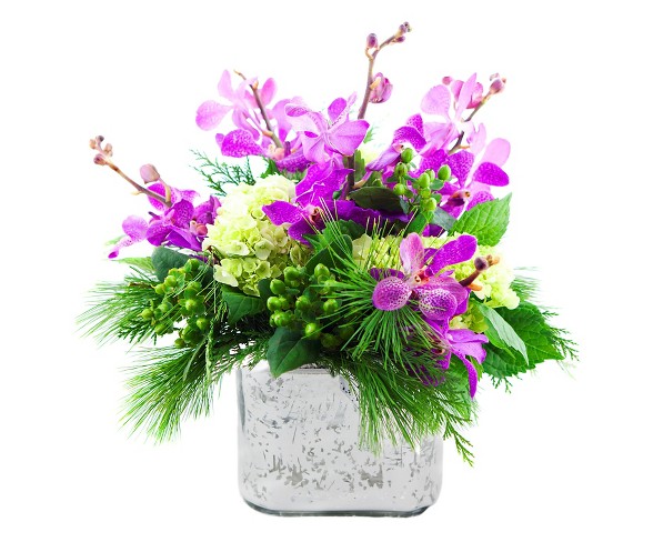 KaBloom Sugar Plum Orchids and Pine Fresh Flower Arrangement - with Vase