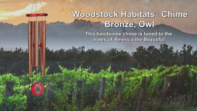 Bronze Owl Wind Chime with Bubinga Wood Finish