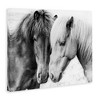 Stupell Industries Horse Love Duo Portrait, 40" x 30" - 3 of 4