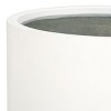 Braslen Concrete Ficonstone Planter - Indoor/Outdoor - PAT1516 - White - Safavieh - 4 of 4