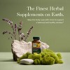Gaia Herbs Emotional Balance - Stress Support Supplement to Help the Body Cope with Stress - 60 Vegan Liquid Phyto-Capsules - 3 of 4