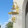 Livex Lighting Monterey 4 - Light Wall Light in  Polished Brass - 4 of 4