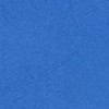 adult_navyblue