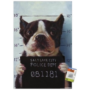 Trends International Lucia Heffernan Art - Boston Mug Shot Unframed Wall Poster Prints - 1 of 4