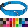 Country Brook Petz Heavy Duty Nylon Martingale Dog Collar with Deluxe Buckle - 30+ Vibrant Color Options - 2 of 4