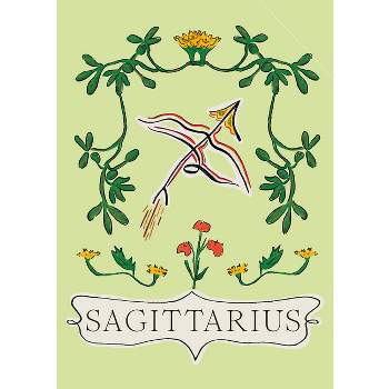 Sagittarius - (Planet Zodiac) by  Liberty Phi (Hardcover)
