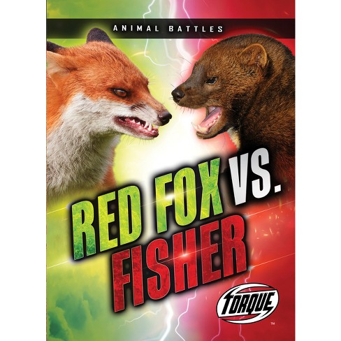 Red Fox vs. Fisher - (Animal Battles) by  Nathan Sommer (Paperback) - image 1 of 1