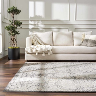 Hauteloom Minoa Area Rug