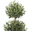 5FT Artificial Olive Tree Potted - 3-Tier Spherical Faux Tree with Realistic Green Leaves & Fruits, Indoor/Outdoor - 2 of 4