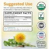 USDA Organic Dandelion 10:1 Root Extract Capsule, High Strength Dandelion Root Supplement for Liver Cleanse Detox & Repair Support, Pure Co, 60ct - 3 of 4