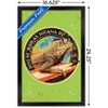 Trends International Jim Baldwin - Iguana Framed Wall Poster Prints - 3 of 4
