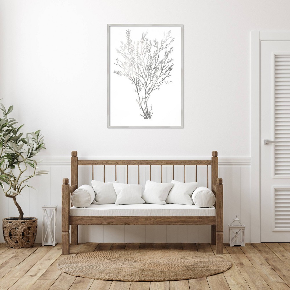 Photos - Other Decoration Amanti Art 30"x41" Gray Algae I by Jennifer Goldberger Wood Framed Wall Art Print