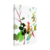 Trademark Fine Art - Janel Bragg Botanical Reverie 1 Canvas Art - 4 of 4