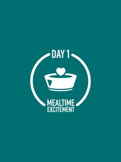 Day 1
Mealtime excitement