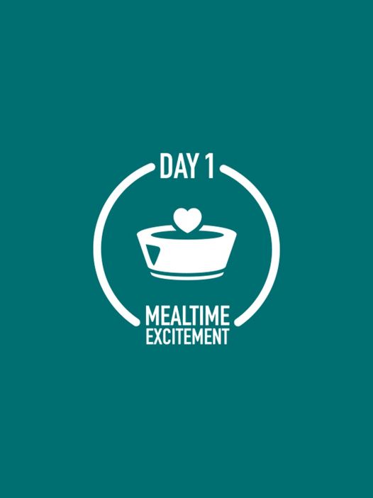 Day 1
Mealtime excitement