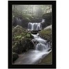 HomeRoots Ricketts Waterfall Black Framed Print Wall Art - 4 of 4