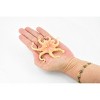Collectible Wildlife Gifts | Octopus, Octopodes, Octopoda, Octopi, Ocean, Hand Painted, Rubber Realistic Toy Figure, Model, Gift,  3 1/2"  CH344 BB134 - 2 of 4