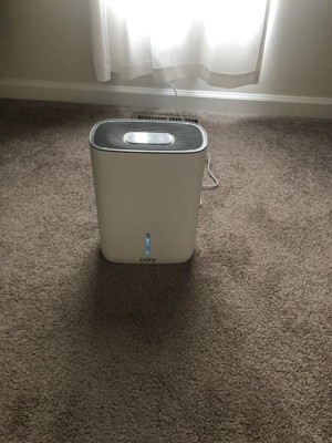 Pure Enrichment Dry Deluxe Dehumidifier White : Target
