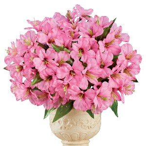 Collections Etc Alstroemeria Bushes Set Of 3 : Target