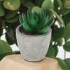 Unique Bargains Artificial Plants Large Mini Pulp with Cactus Finger Plastic 2.36"x2.36"x3.35" 1 Pc - 2 of 4