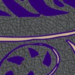 washington huskies