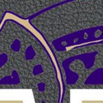 washington huskies