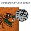 NCAA Florida A&M Rattlers 4pk Orange Toss Game Set - 4 of 4