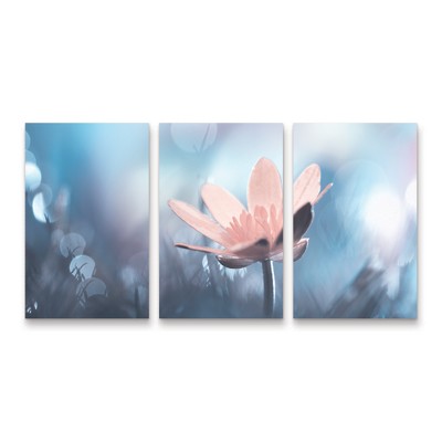 Trademark Fine Art Fabien BRAVIN  Mellow Mood 3 Piece Panel Set Art