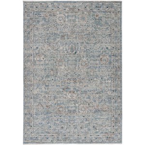 Antique Patina ANP656 Power Loomed Indoor Rugs - Safavieh - 1 of 4