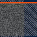 denver broncos