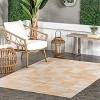 Nuloom Aranea Abstract Machine Washable Pet Friendly Indoor/Outdoor Area Rug - 2 of 4