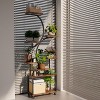 Fortune Candy 61" Tall Corner Shelf with LED Lights, Modern Display Shelf for Books, Plants, and Pet, MDF+Metal - 3 of 4