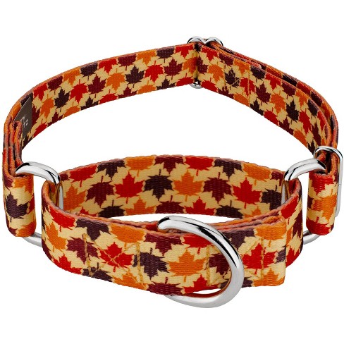 Target store bark collar