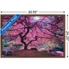 Trends International Pink Tree 2 by Moises Levy Framed Wall Poster Prints - 3 of 4