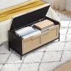 Rattan Storage Bench with Flip Top Lid Dual Safety Hinges, Reinforced Design for Entryway, Living Room, or Bedroom, Easy Assembly Organizer - 2 of 4