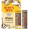 Burt's Bees Shea + Coconut Oil Paper Tube Lip Balm - 0.34oz - 4 of 4