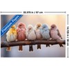 Trends International Reinders: Animals - Pastel Birds Unframed Wall Poster Print White Mounts Bundle 14.725" x 22.375" - 3 of 4