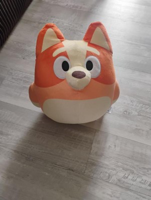 Guest review image 2 of 2, zoom in