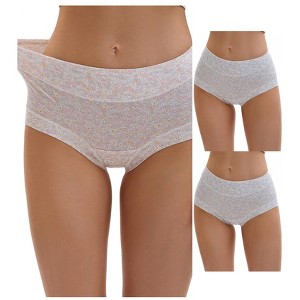 INSPIRE CHIC 3 Packs Women's Cotton Floral Printed High Waisted Full Coverage Tummy Underwear - 1 of 4