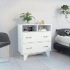 Okak 2-Drawer Dresser with Shelves 31.5" W Slim Storage for Bedroom/Dorm, Dual Open Shelves + Deep Drawers, Minimalist Space-Efficient Design - 2 of 4