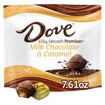 Dove Promises Milk Chocolate & Caramel Candies - 7.61oz