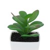 Unique Bargains Artificial Plants Plastic Green 2.2"x2.2"x2.56" 1 Pcs - 4 of 4