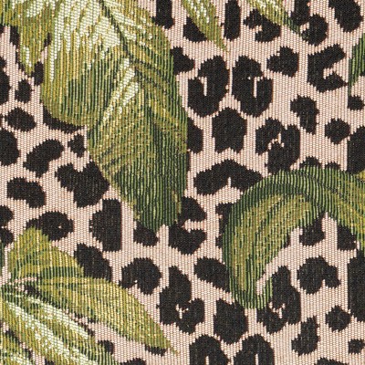 safari green