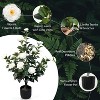 Cesicia 2pcs 3ft Artificial Camellia Trees with Pot & Pebbles - 24 Realistic White Blooms & 188 Lush Green Leaves, Faux Potted Plant for Home - 4 of 4