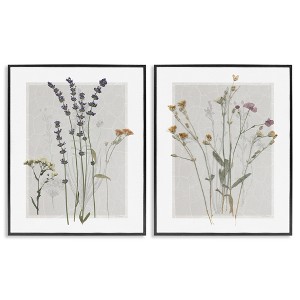 Stupell Industries Delicate Wildflower Herb Sprigs 2pc Framed Giclee Art Set - 1 of 4