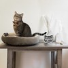 Pavilion Gift Company - Cats - 5" MDF Self-Standing Plaque - Wall Sign Panels - 2 of 4