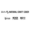 Wild State Cider Imperial Hazy Honeycrisp - 4pk/12 fl oz Cans - 3 of 3