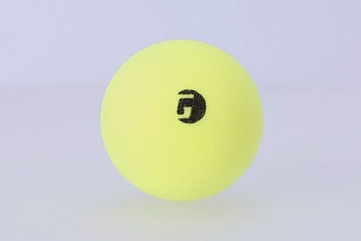 GAMMA Sports Librarian Quiet Foam Pickleball : Target